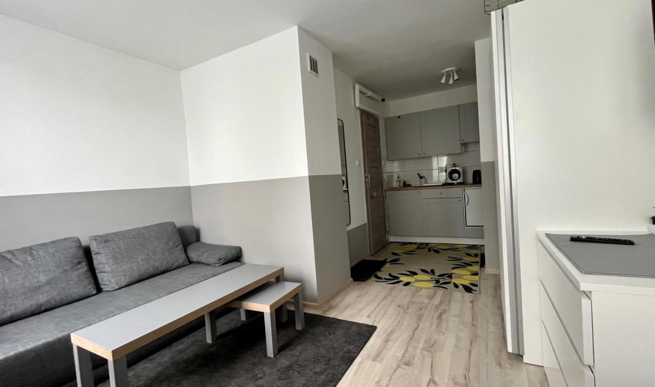 Mlawska 33 Appartement Rypin Buitenkant foto